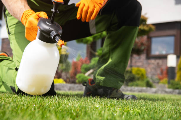 Best Pest Prevention Services  in Fort Pierce North, FL