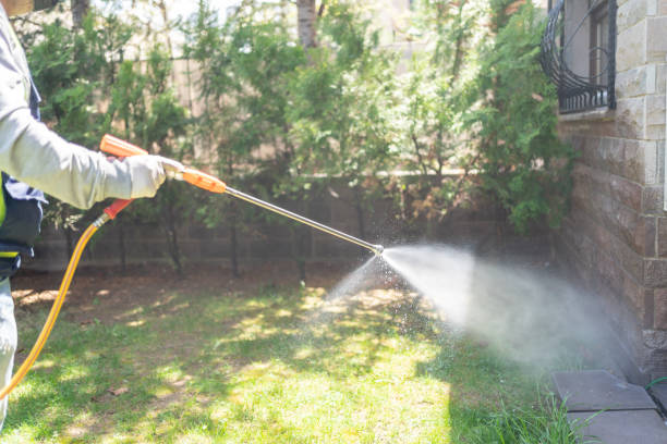 Best Pest Inspection Near Me  in Fort Pierce North, FL