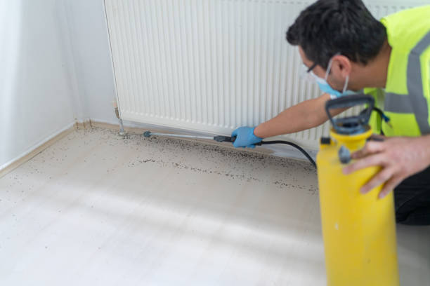 Best Cockroach Control Services  in Fort Pierce North, FL